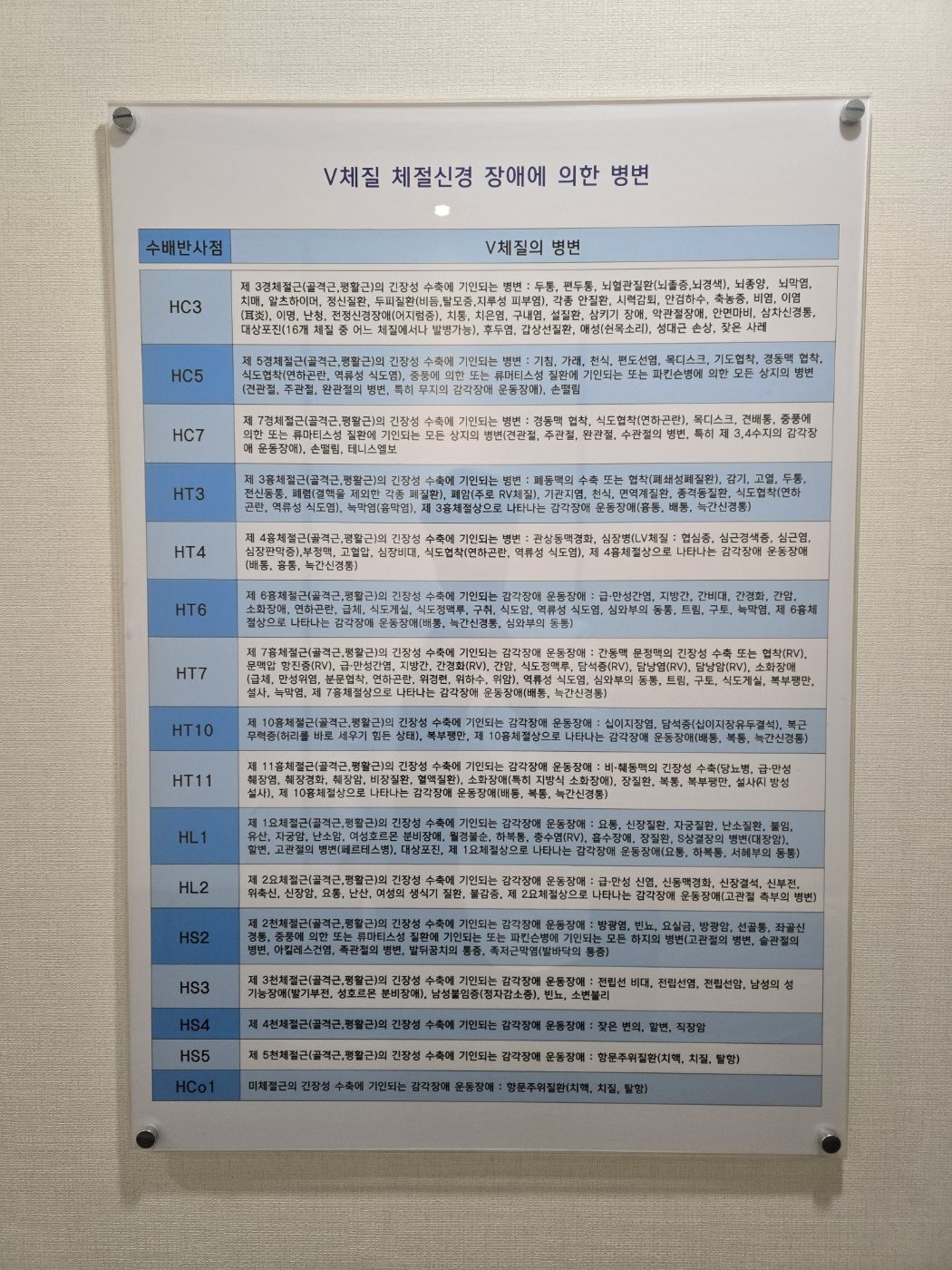 V체질 체절신경 장애 병변 차트